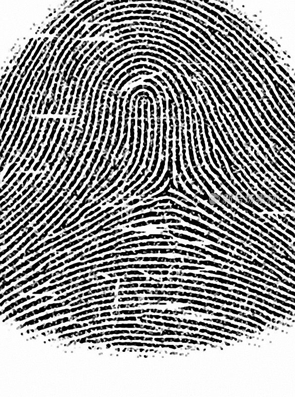 Fingerprint texture 7